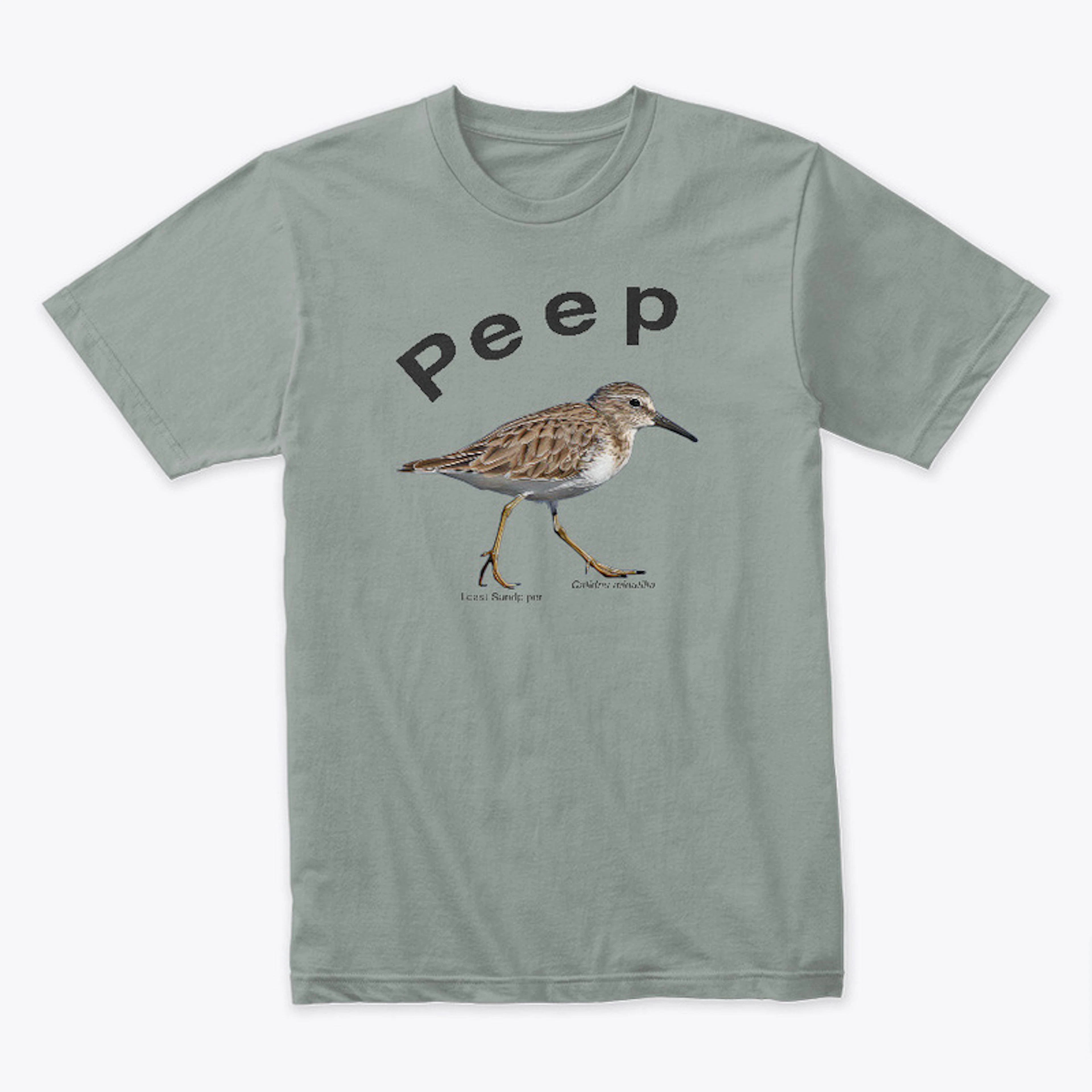 Peep - Least Sandpiper