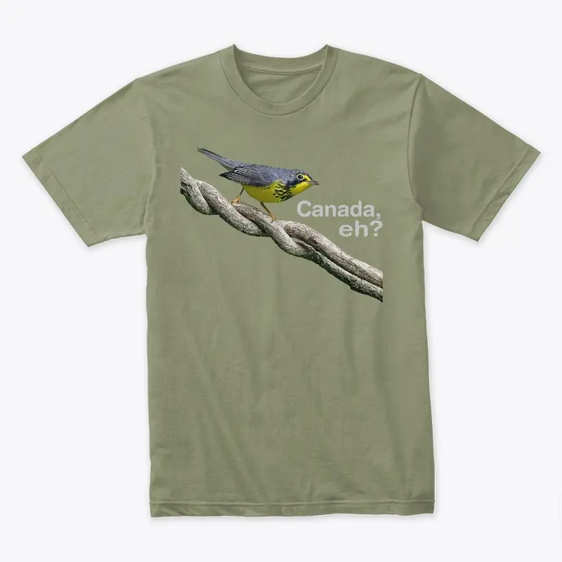 Canada Warbler