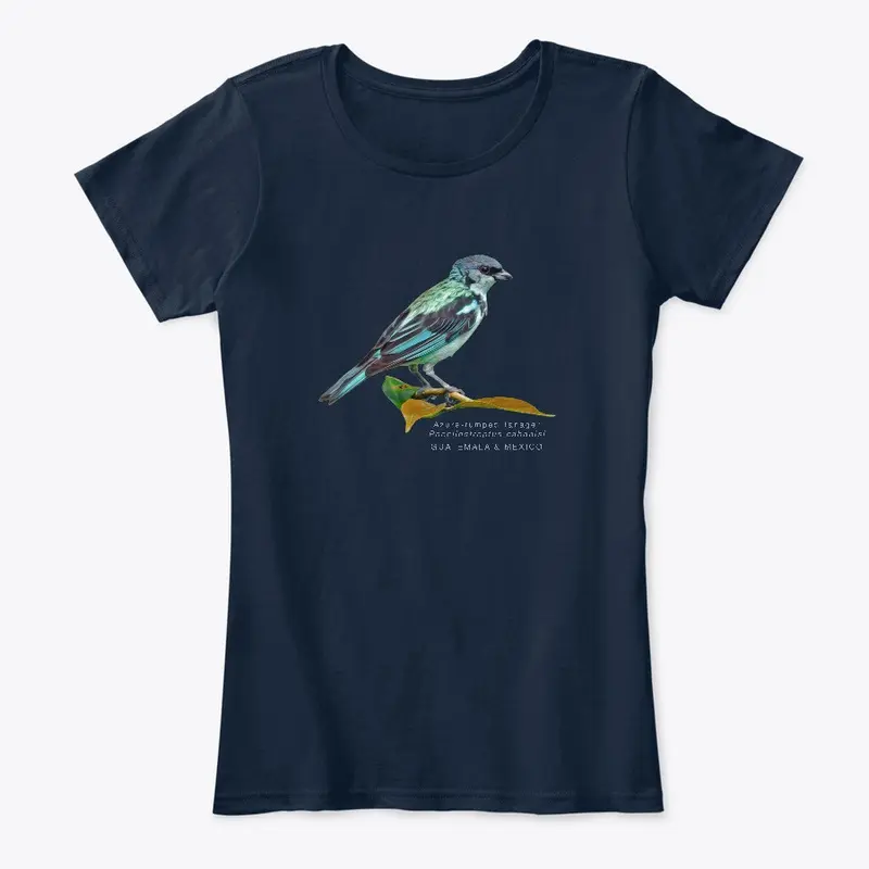 Azure-rumped Tanager